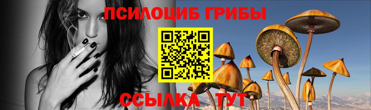Псилоцибиновые грибы мицелий  Галлюциногенные грибы прущие грибы  Тосно  Вход с VPN 